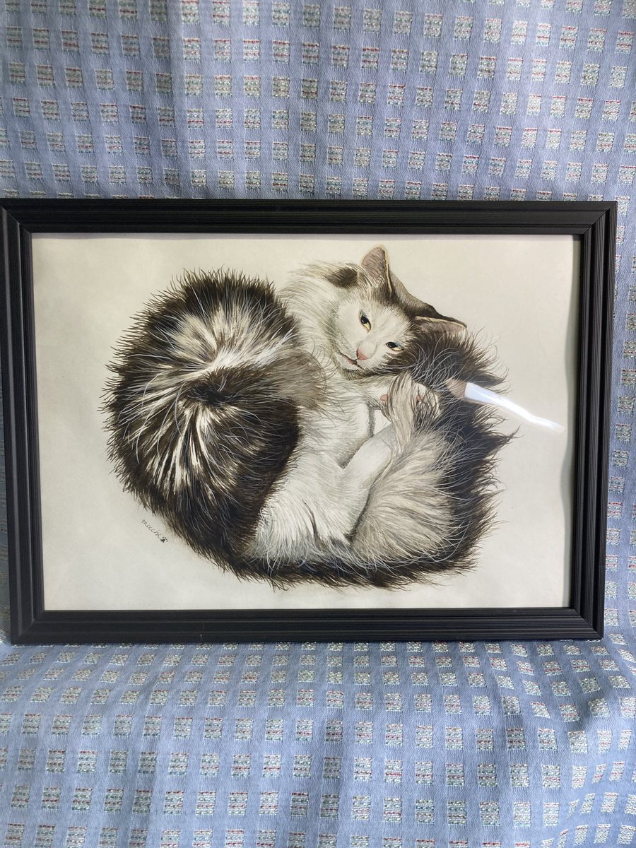 もっち（mocchi） (@mocchimocchi09) / Posts / X