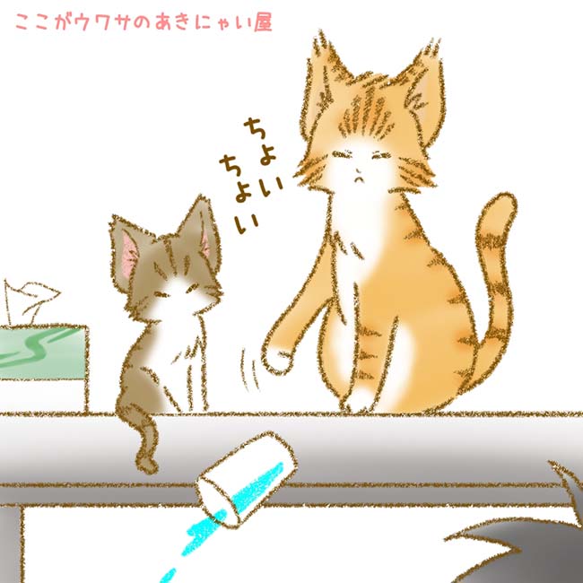 ☆ニャンフェス23出展者情報☆ ここがウワサのあきにゃい屋 G-17,18