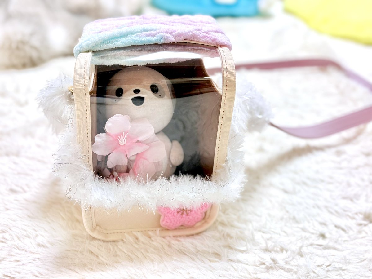 ポケとも「ミーアとナナミ」｜シャープ公式 (@poketomo_sharp) / Posts