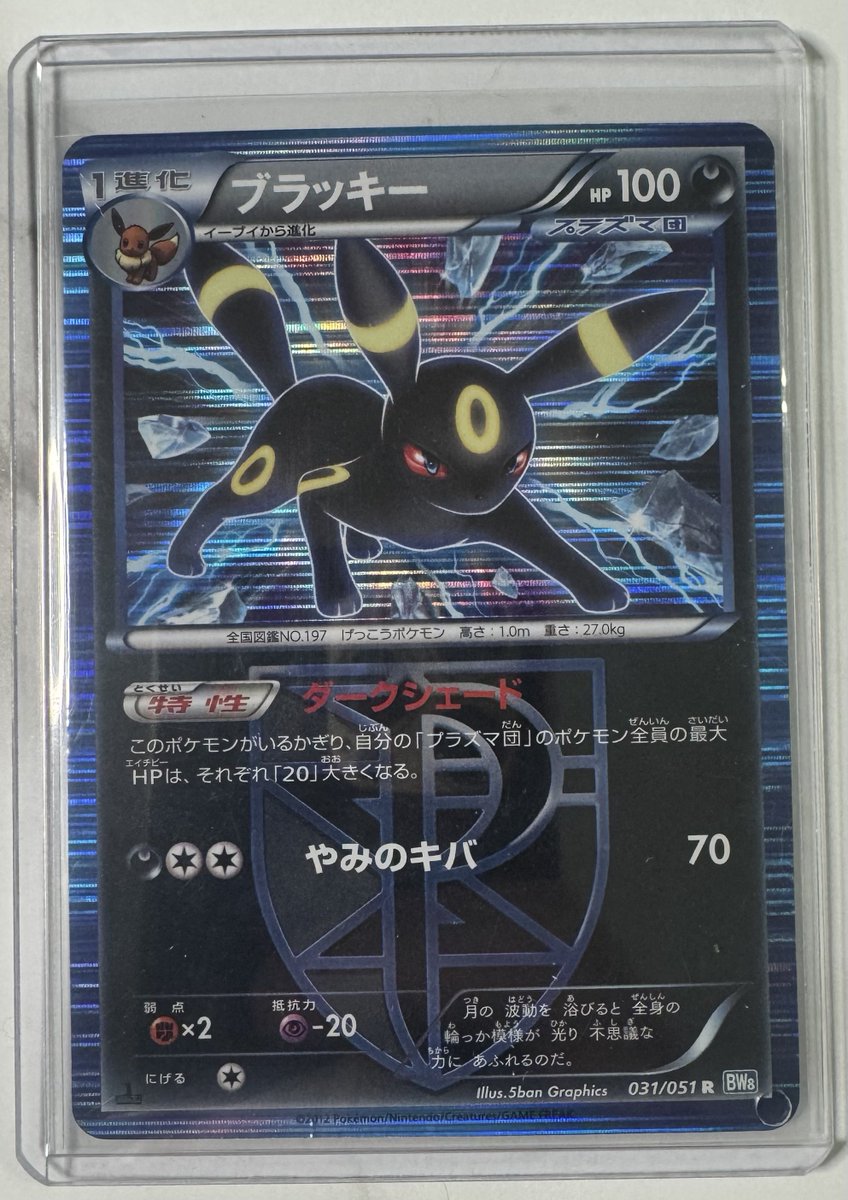 本日は！ プラズマ団のブラッキー🔥 フォローリポスト！ 23:59締め切り