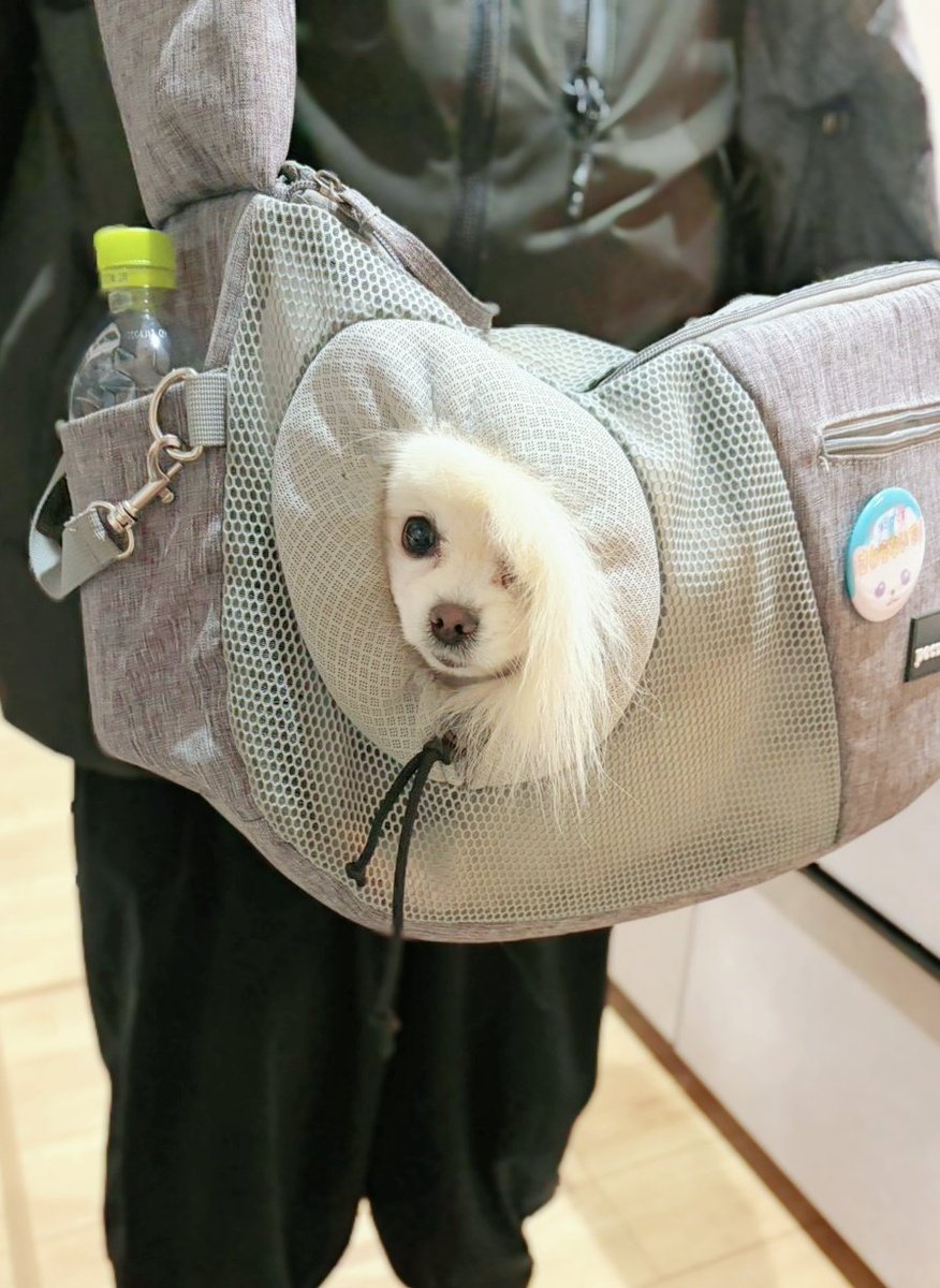 おこめ屋 (@chimaki0328) / Posts / X