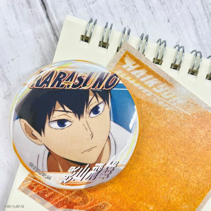 ハイキュー #hq_anime #haikyuu A page of youth 缶バッジ 全部で54種