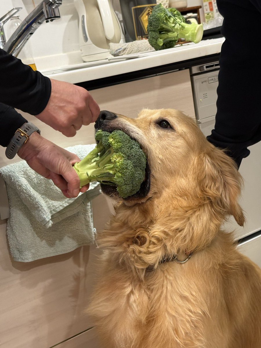 Naomi (@naomi_98) / Posts / X