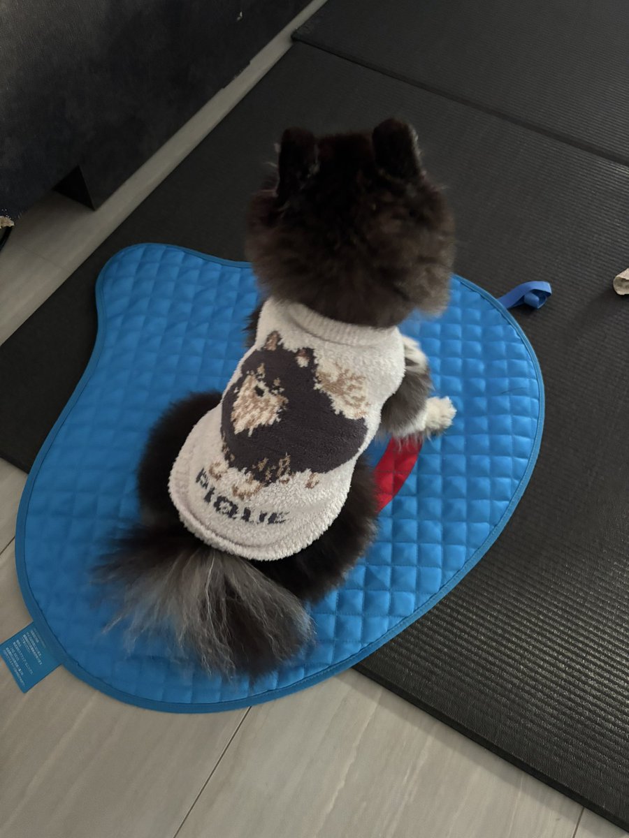 ずーっとその子のこと、考えたり なんか、不思議と、ピピっときてるの