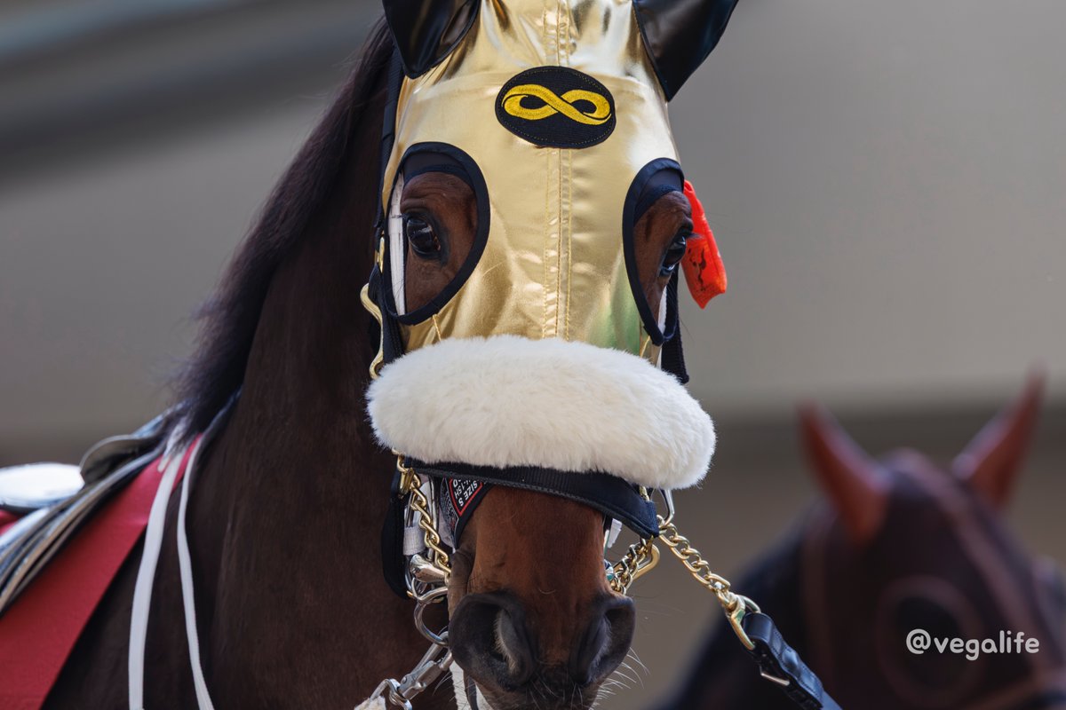 馬とね子 (@nekotouma88) / Posts / X