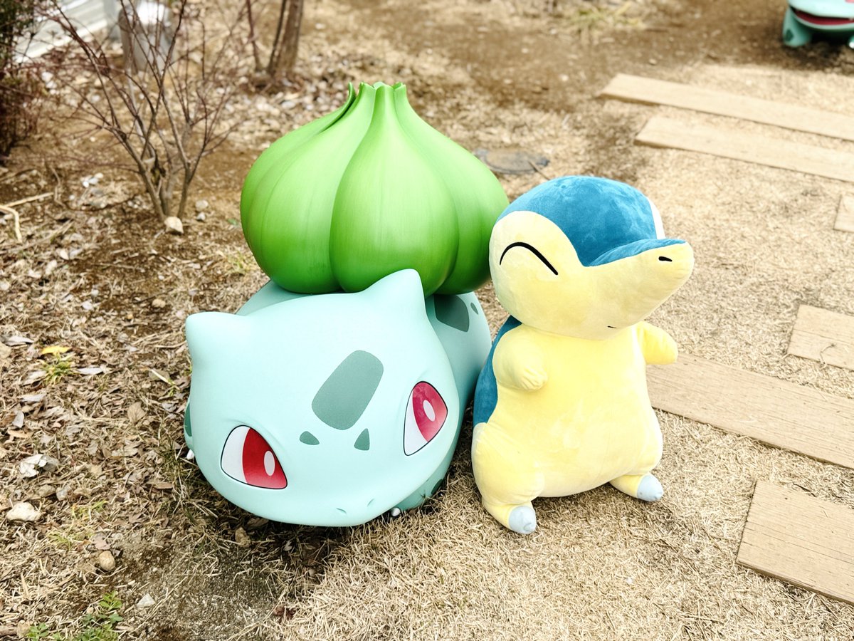 フシギダネとフシギソウとヒノアラシ #ポケパークカントー