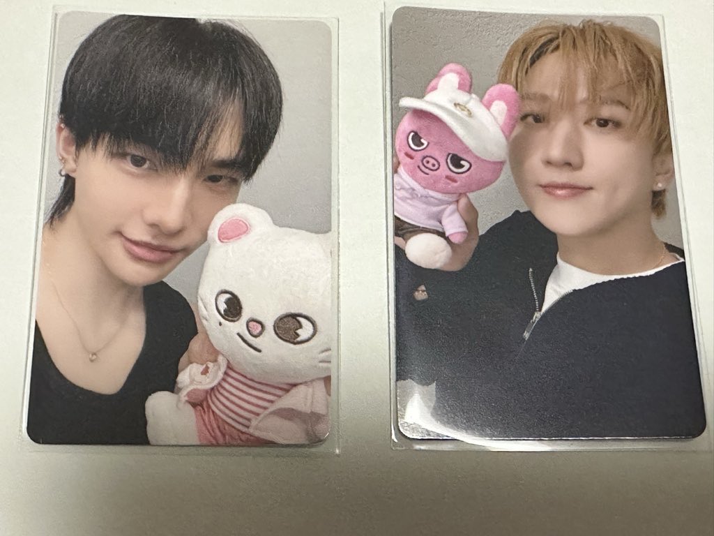 交換】StrayKids skzoo ズートピア スキズ 特典 トレカ コラボ 【求