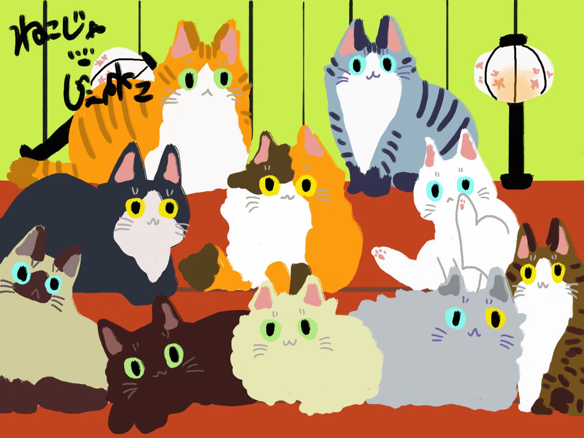 今日の猫さん🐾 ひな祭りですぞ🎎