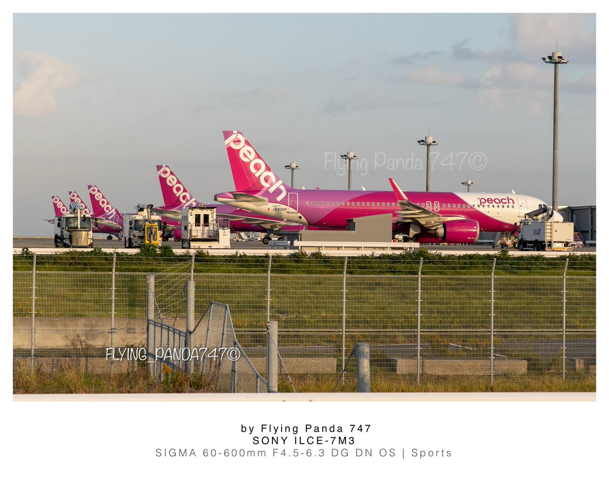 創業15周年おめでとう御座います。 このデザインが変わってしまうのか