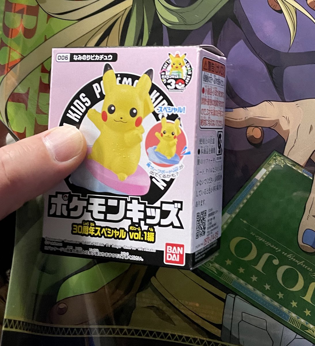 横浜や桜木町のすべての地を探しまわったといってもいいポケモンキッズ