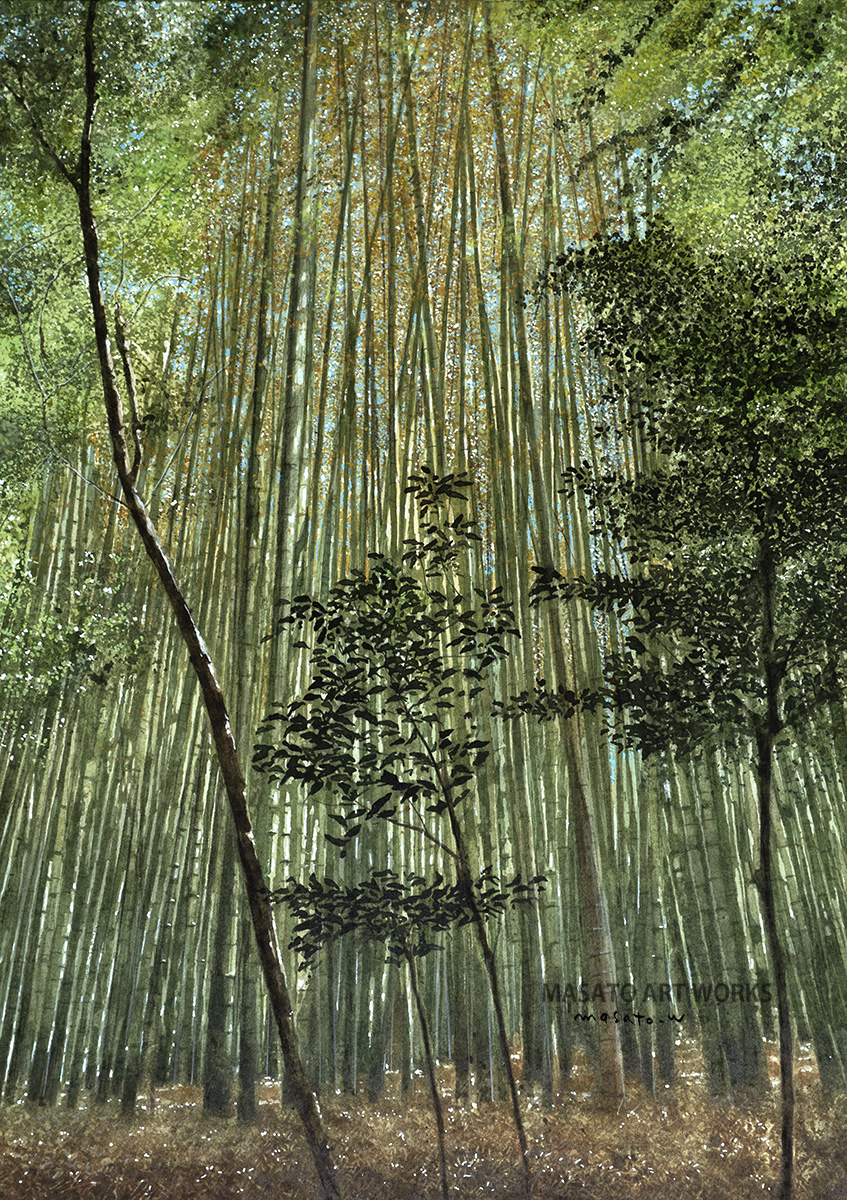 京都風景2-初秋 天へ伸びる竹林] 新作水彩画 完成 アルシュ極細目 F6