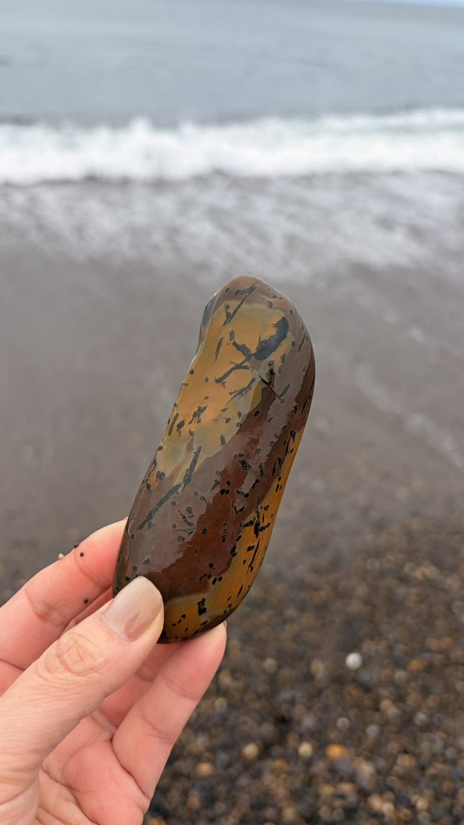 青森の素敵石コレクション