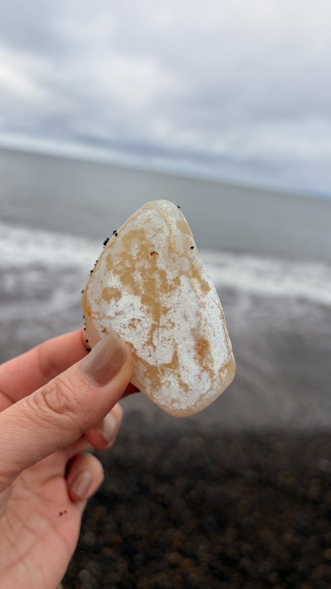 青森の素敵石コレクション