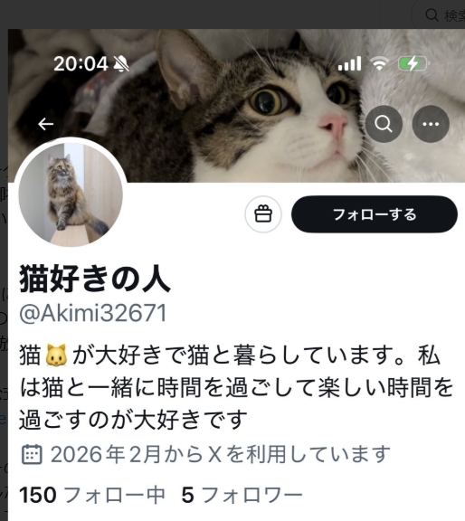 RT @dedenmk1: @Akimi32671 「猫好きの人」 nigerita（ナイジェリア