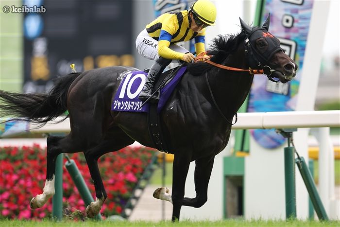 Worlds best miler and worlds best middle distance colt not showing