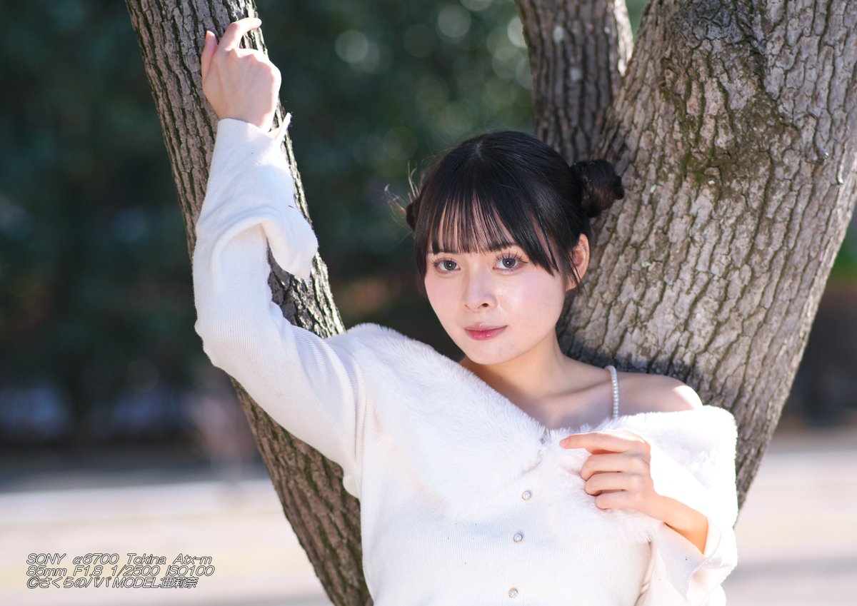 🇺🇦さくら🐇のパパ🇯🇵高配当株に移行中🇺🇦 (@K70_55) / Posts / X