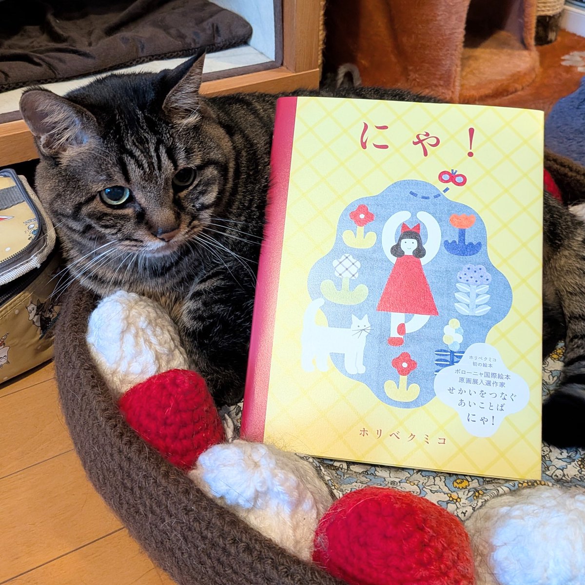 みんなで「にゃ！」って挨拶したら楽しいね🙆‍♀️