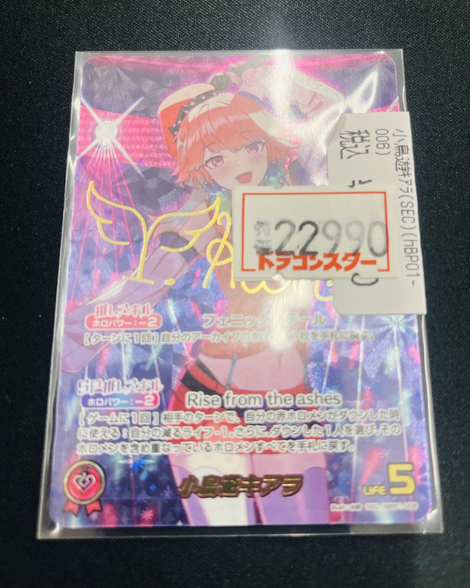 ホロカ 特価更新中!!!!】 ✨✨ホロカ特価コーナー更新中✨✨ 小鳥遊