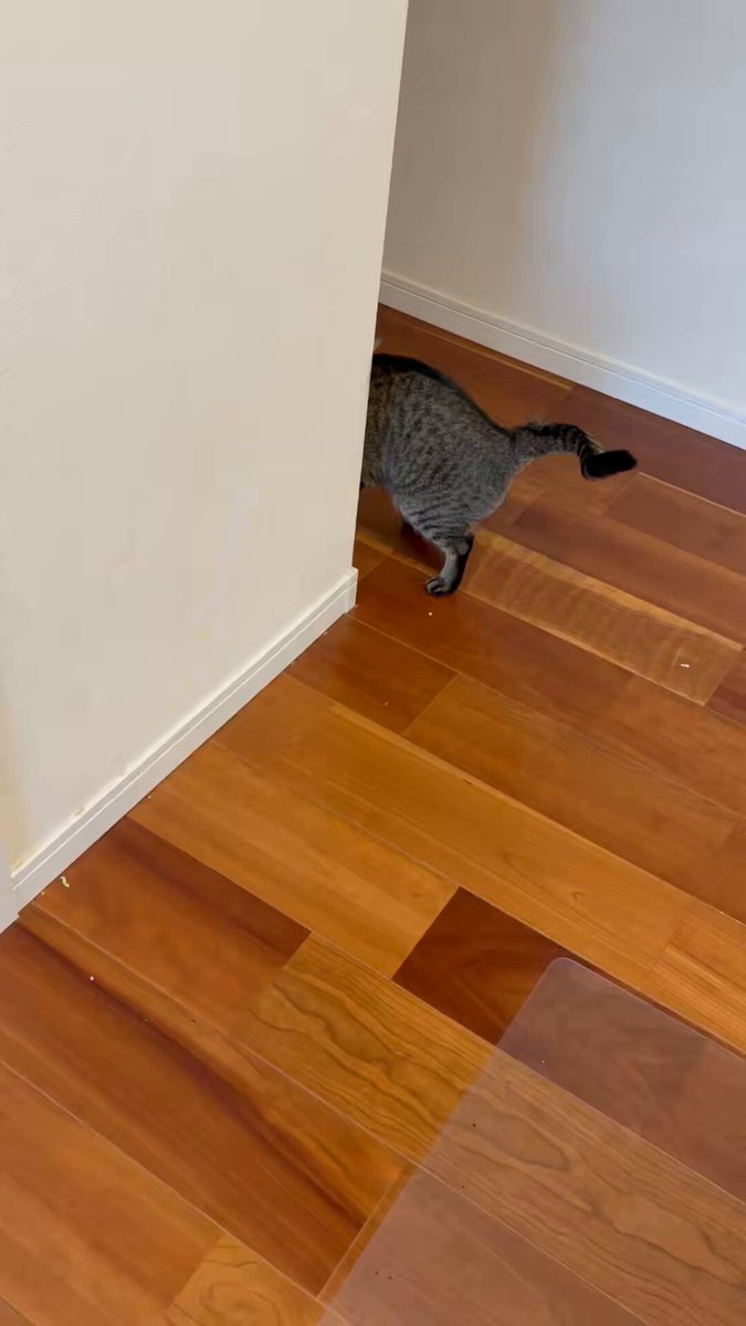 我が家の姫様から 新年一発目の