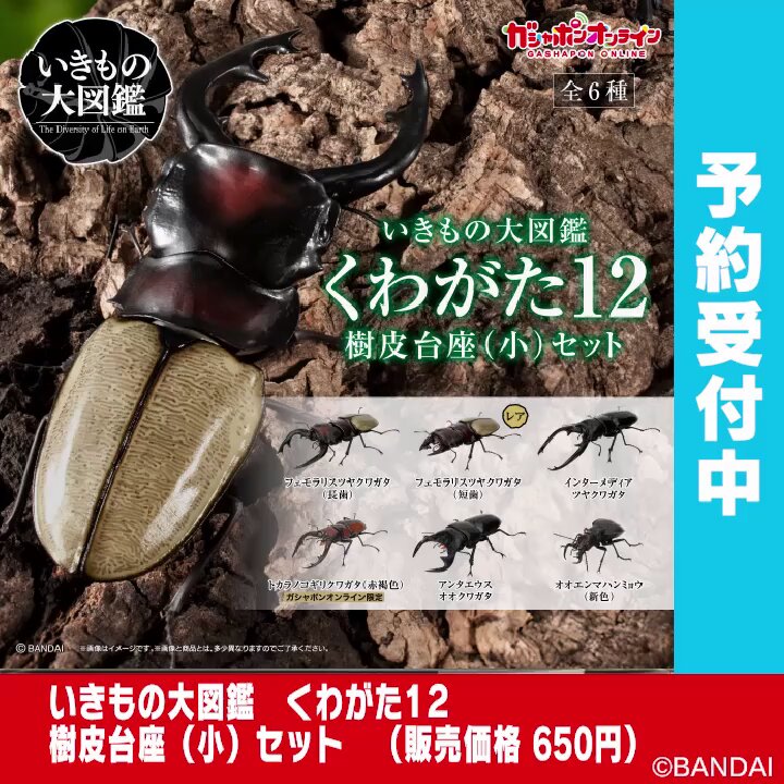 公式】バンダイ いきもの大図鑑 (@ikimonodaizukan) / Posts / X