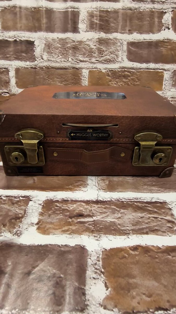 4階洋書】ファンタスティック・ビーストの主人公、ニュートが持つ