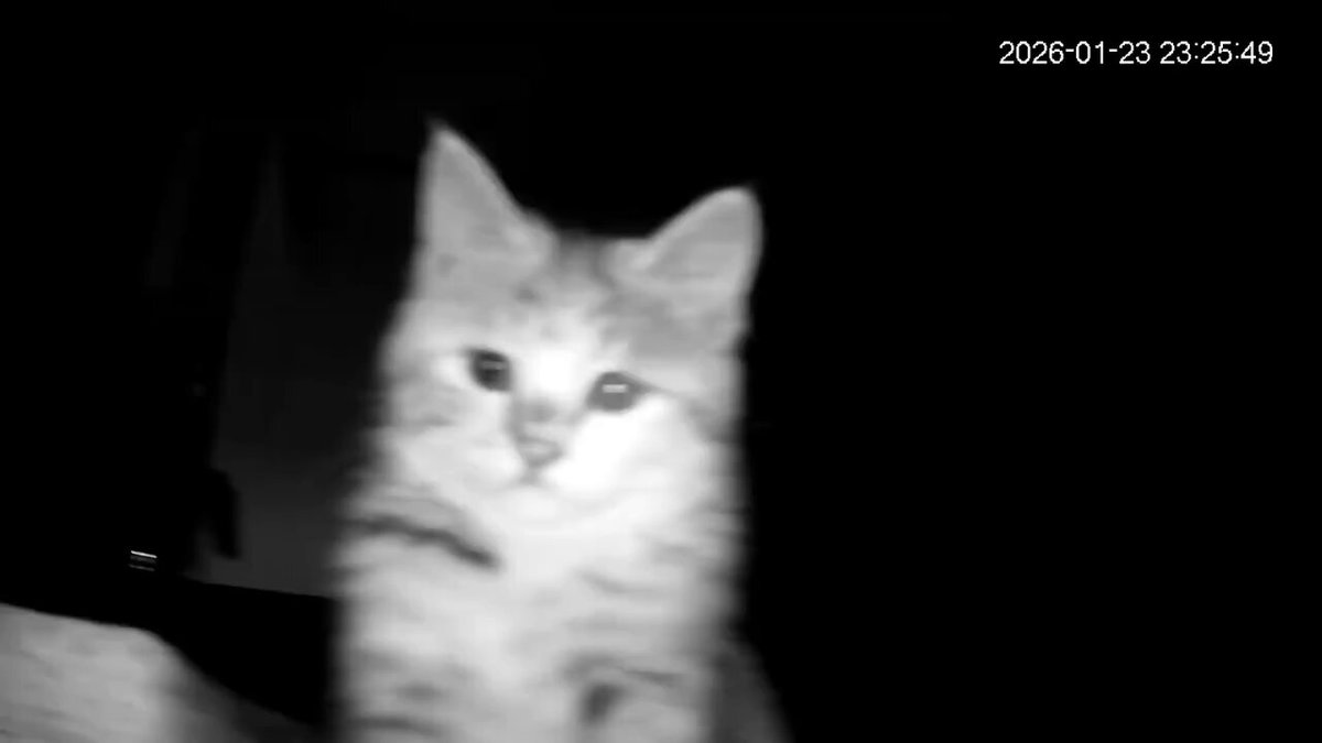 健気な子だね。。涙目🥹 早く帰らないといけないと思っちゃうわ😭