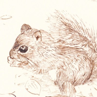 mana (@mana09321) / Posts / X