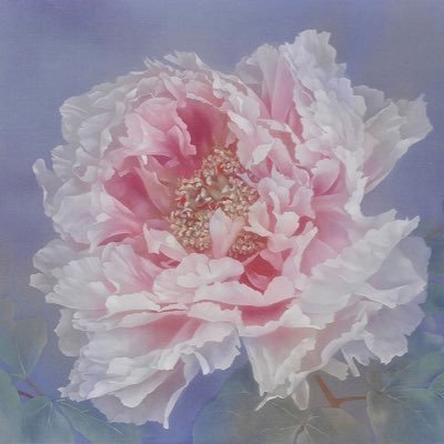 京都絵美 (@228miyakoemi) / Posts / X