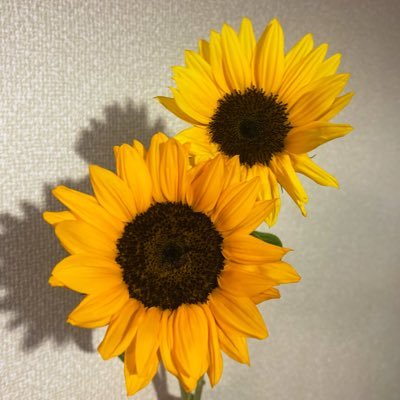 Queenはブライアン・メイが手紙にサインを返送するのは知られているし