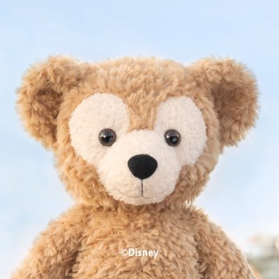 ダッフィーのはじめてのお友だち、シェリーメイ。 きれいなお花に囲ま