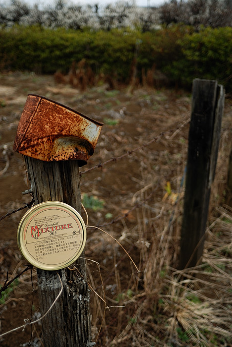 ダンヒル: マイミクスチャー965 : Jinsen's パイプ