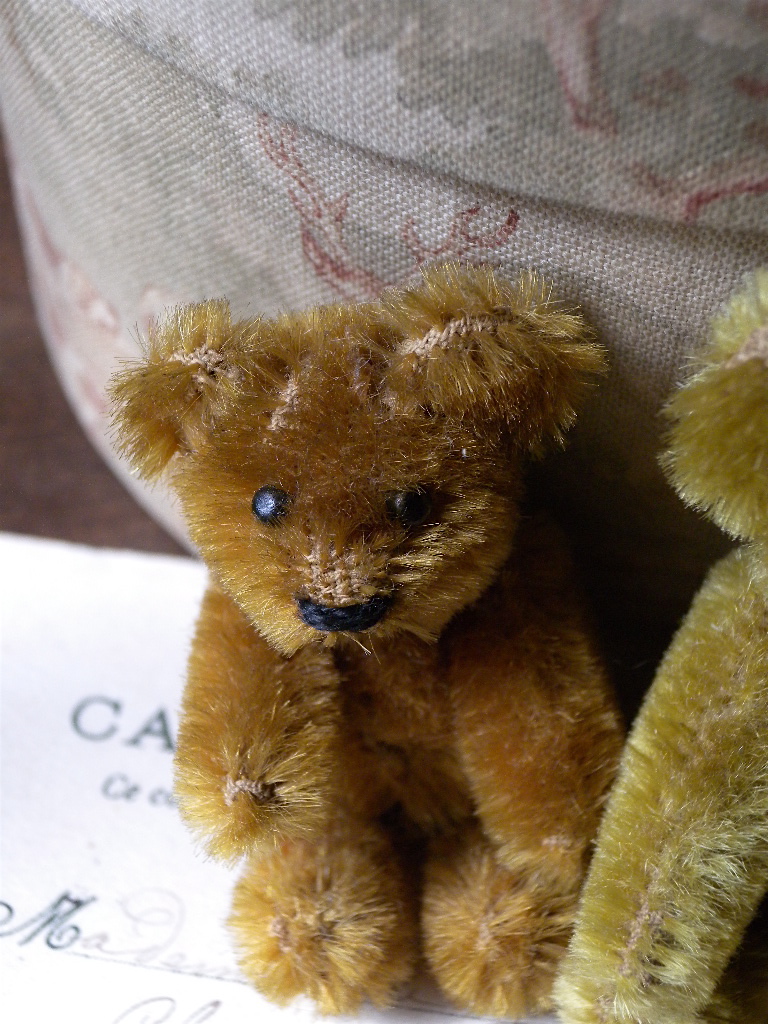 Schuco's Piccolo Bears : 満月アンティーク