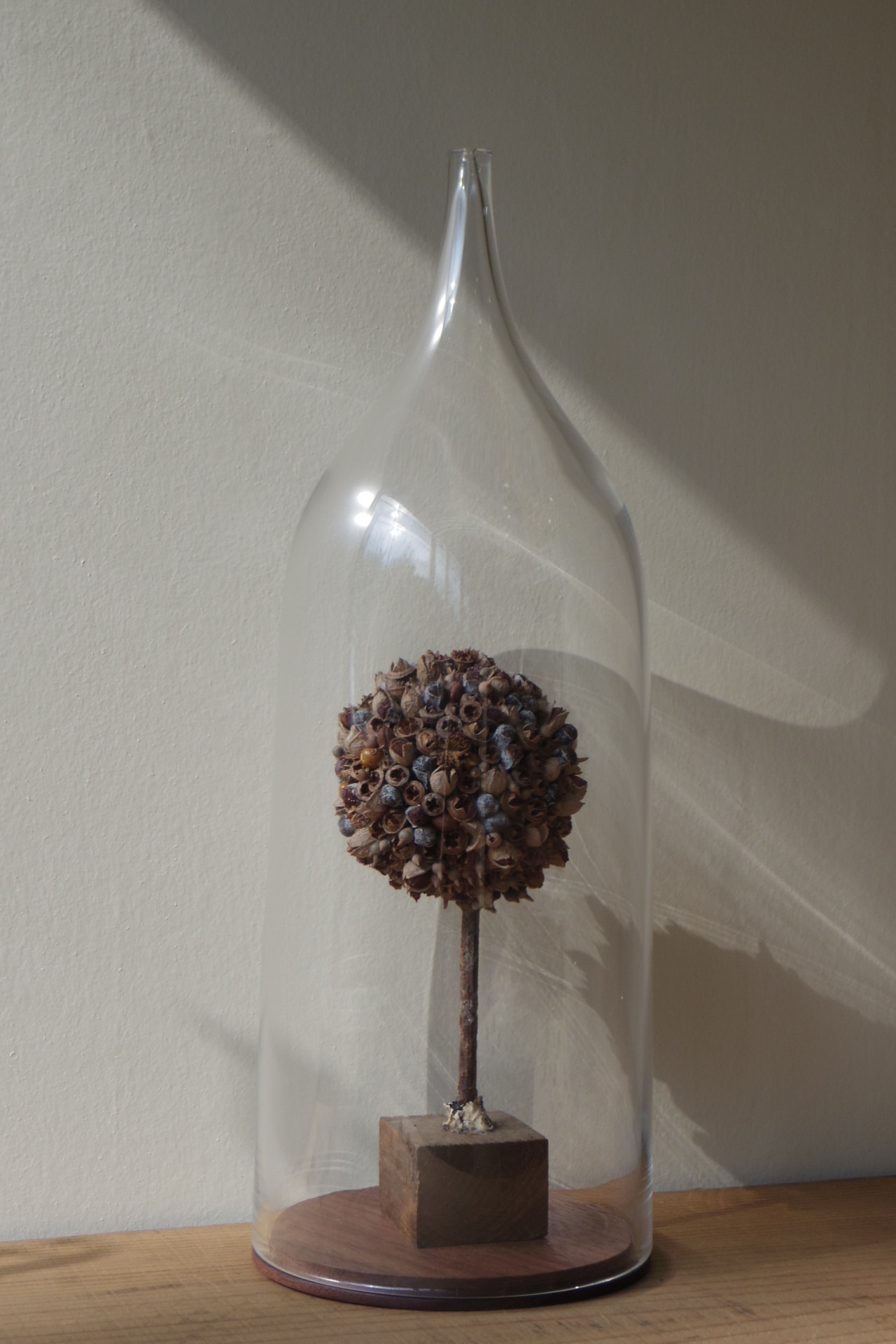 蠣崎マコトさんガラス入荷 : taneのこと