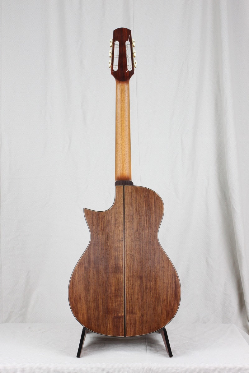 重量級 ローズウッド系」 : ギター・マンの独り言