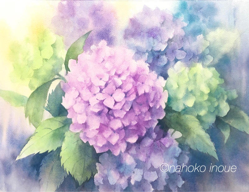 黄緑色の紫陽花と合わせて(*^o^*) : 井上奈保子の水彩画日和☆