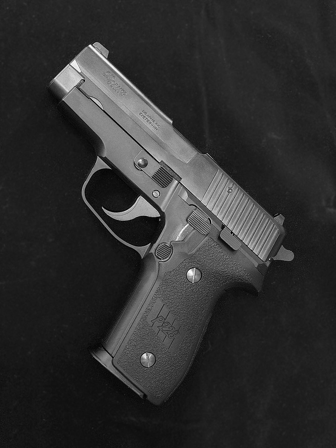 タナカ SIG P228 フレームヘビーウェイト モデルガン 2020/10/08