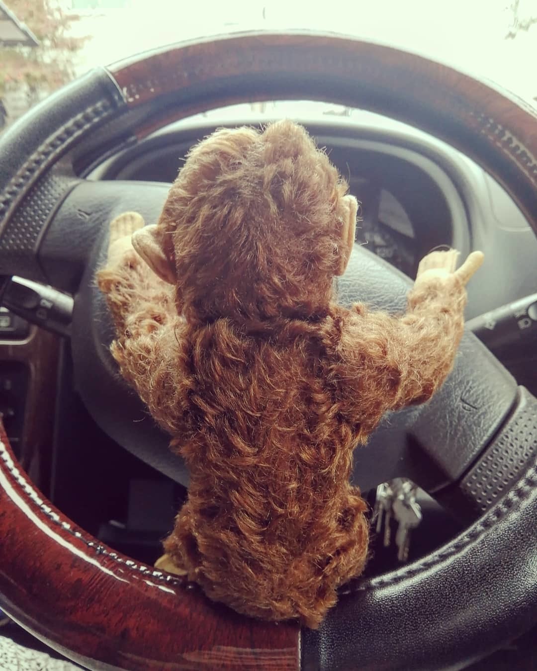 シュタイフ 猿のぬいぐるみ(大) : 生活雑貨とｱﾝﾃｨｰｸ intimite ｱﾝﾃｨﾐﾃ