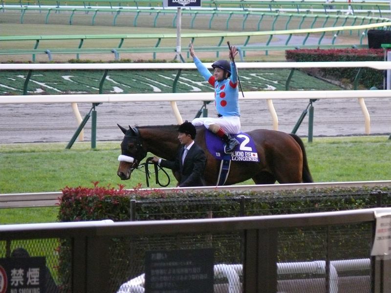 2020年ジャパンカップ観戦記 : 競馬で楽しい時間を過ごそう