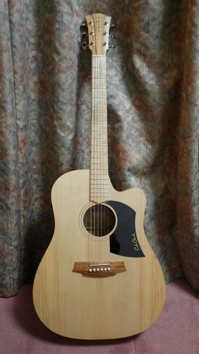 Cole Clark（コールクラーク）ギター 入手 : 雅音人（がねっと）公式