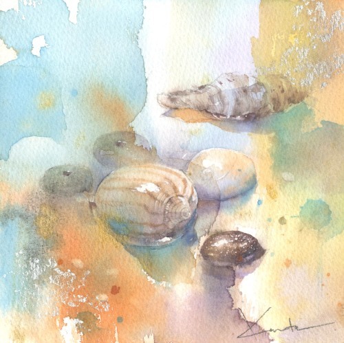 貝殻 水彩画 : はるさき水彩画blog