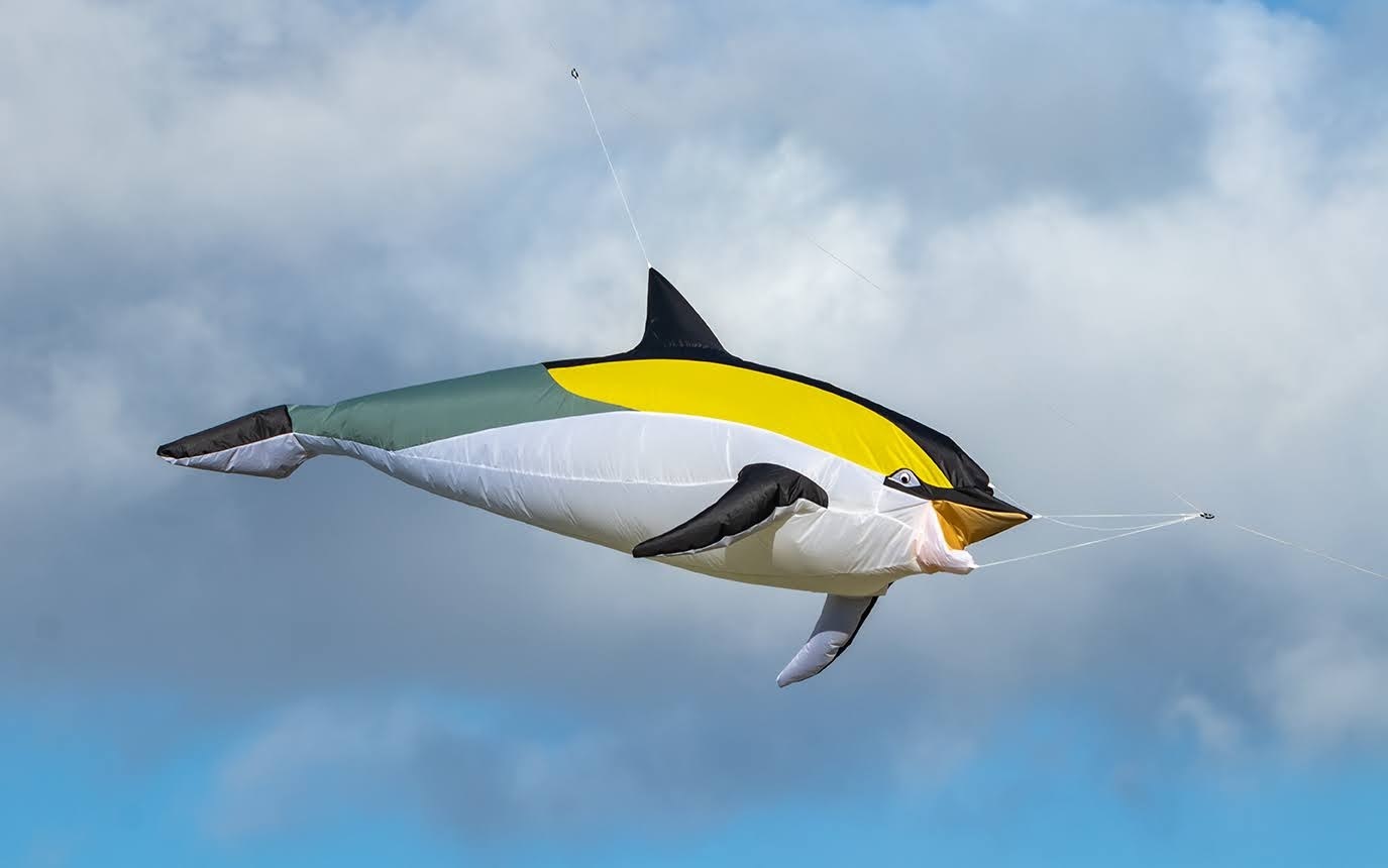 Peter Lynn Kites. ドルフィン制作キット : Kite Making & Flying