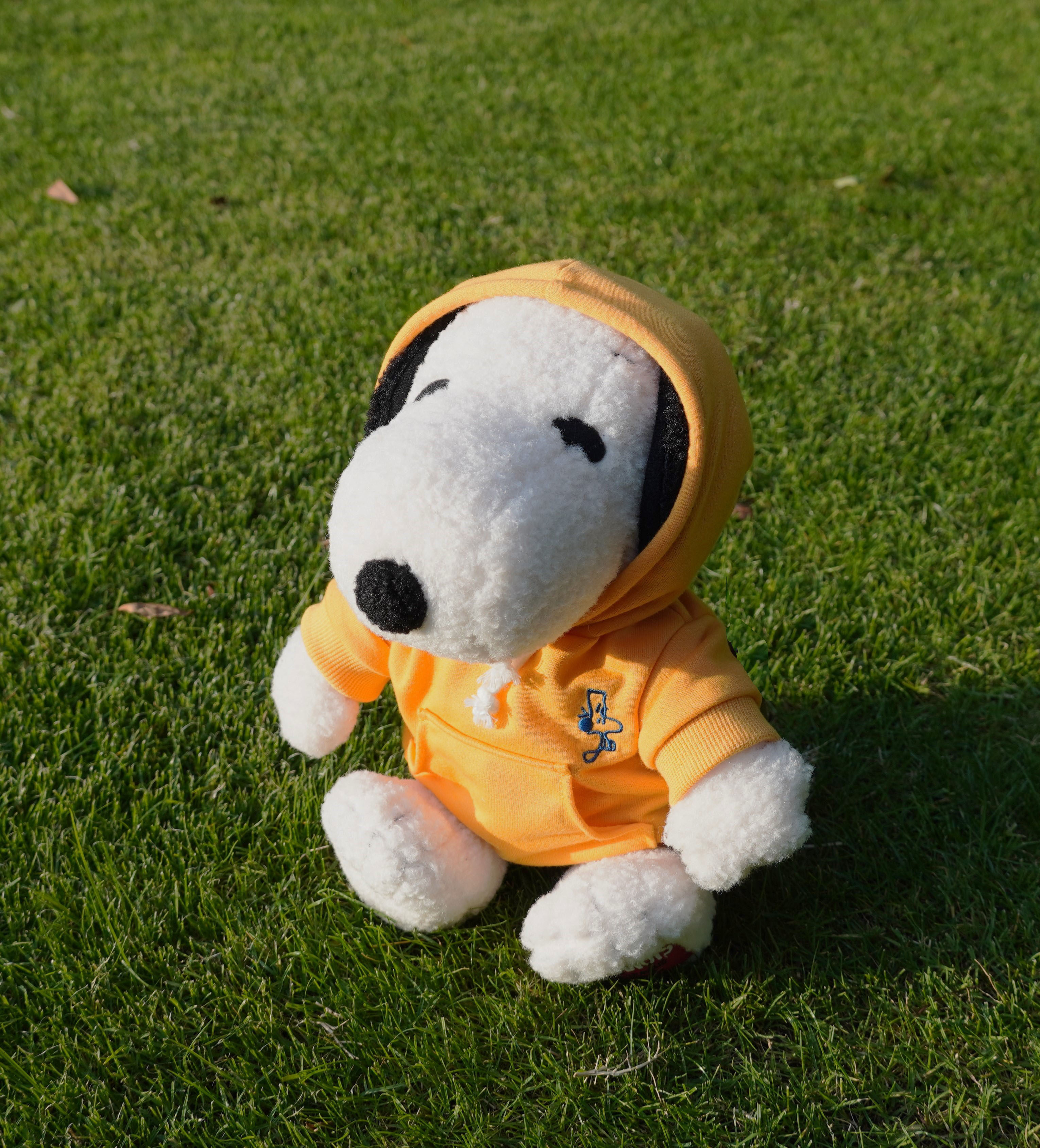 dc89d8f08e09db97601f29adea51e-