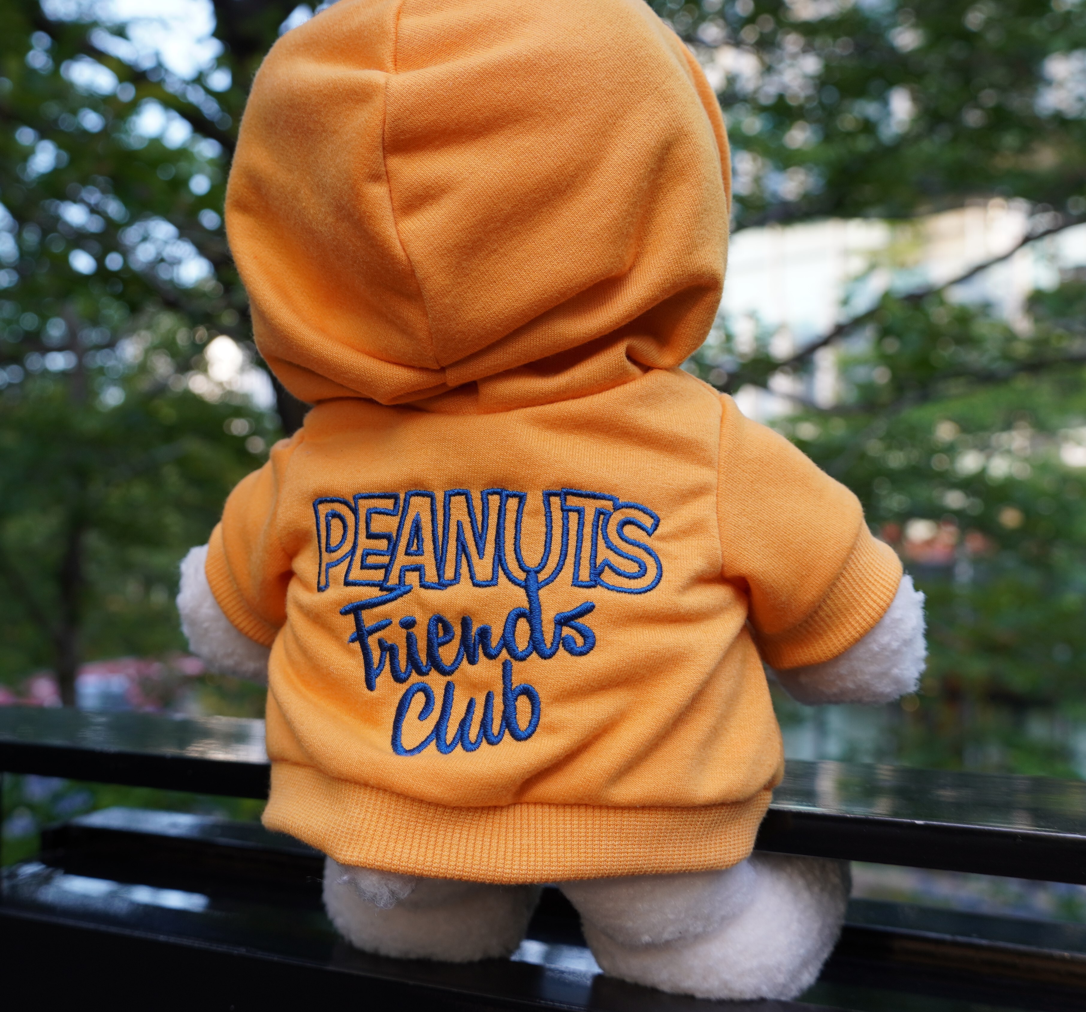 dc89d8f08e09db97601f29adea51e-