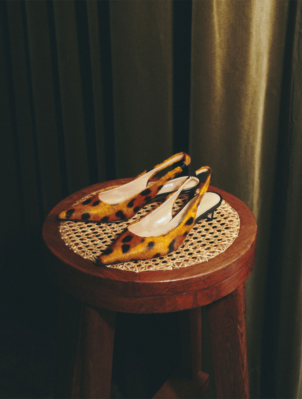 Classical Leopard | PELLICO｜ペリーコ