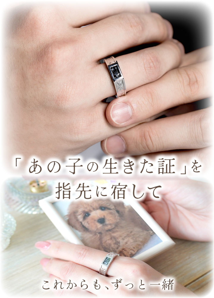 ペット 遺骨 リング 指輪 DEAR ディア 