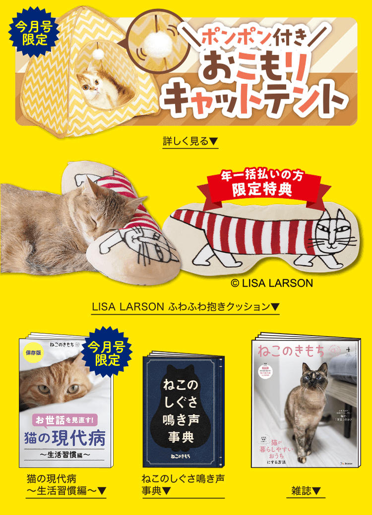 特典・ふろくのご紹介| 愛猫の健康・育て方がわかる雑誌「ねこのきもち