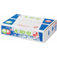 二十世紀梨＜5kg＞2L 16玉 or 18玉 ＜ 東郷梨選果場