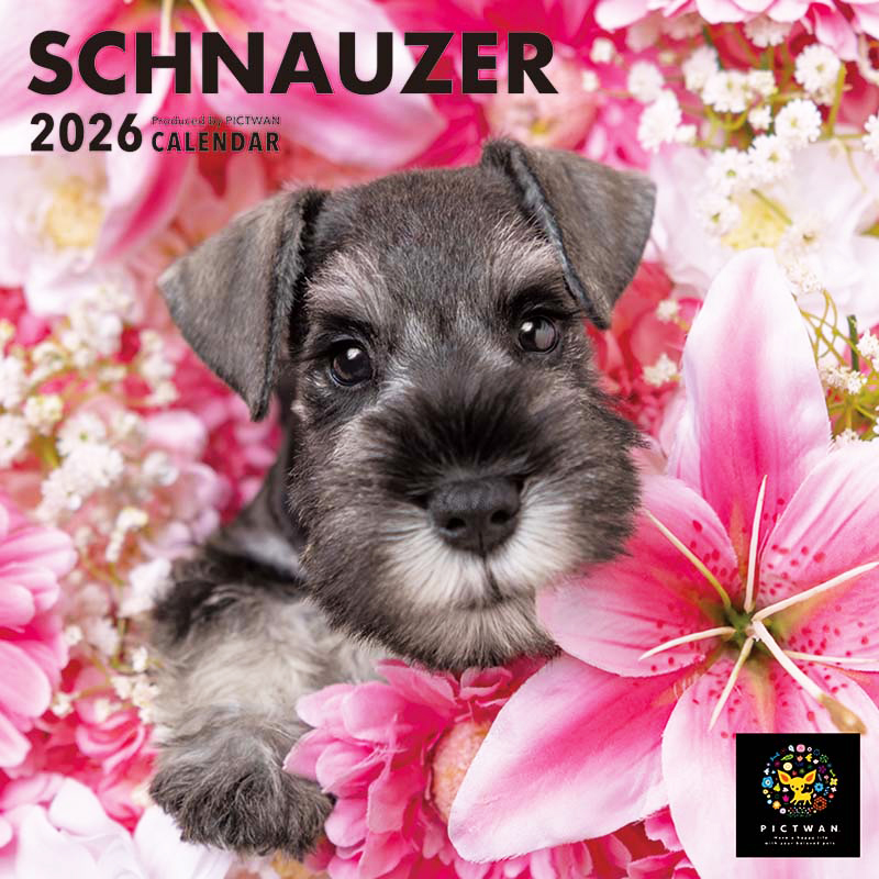 PICTWANカレンダー2026 シュナウザー【S判】