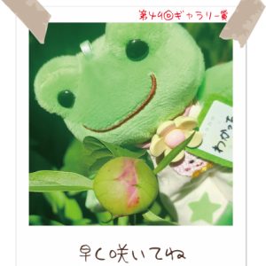 かえるのピクルス pickles home