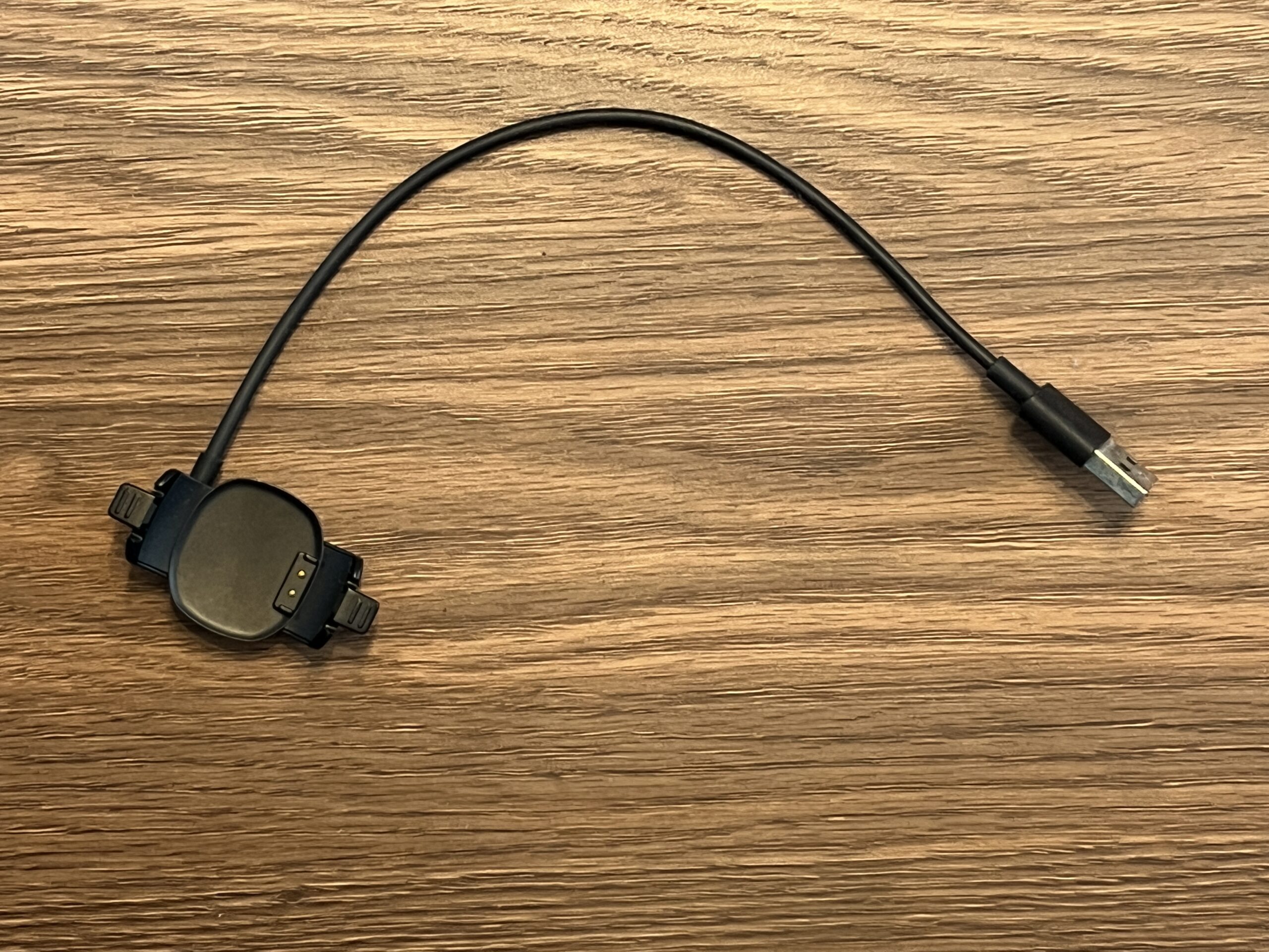 マジックバンド解説2】ウォルト・ディズニー・ワールドで使うには